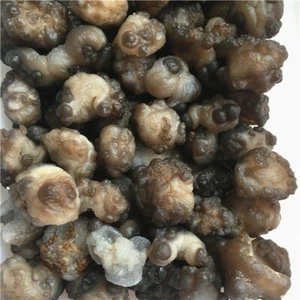 1136g Bonsai Suiseki-Natural Gobi Agate Eyes Stone-Rare Stunning Viewing  x266 - Picture 1 of 11