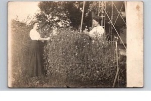Clinton OH Summit County "un amigo y yo recogiendo guisantes" 1912 RPPC postal - Imagen 1 de 2