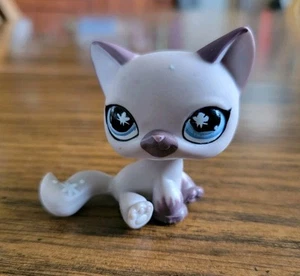 Littlest Pet Shop Authentic # 664 Cream Brown Short Hair Cat Teal Butterfly Eyes - Picture 1 of 21