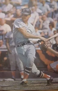 Tony CONIGLIARO  Sports ILLUSTRATED Poster Mt 1967 Boston Red Sox 24X36/2x3 Ft⚾️ - Bild 1 von 5