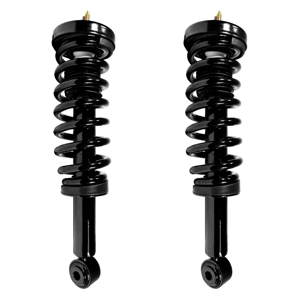 For Ford F-150 09-13 iD Select SEL-2-11306-001 Front Complete Strut Assemblies Foto 1 de 1