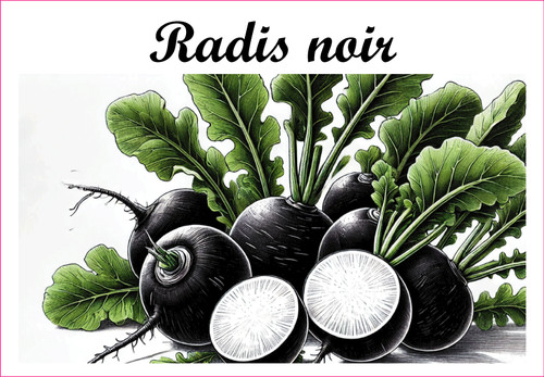 Bild 1 von 13