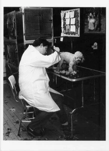 Poodle Clipper, Brooklyn N.Y. 1989•Dog Groomer•Photo Stanley Spiegel POSTCARD - Picture 1 of 1