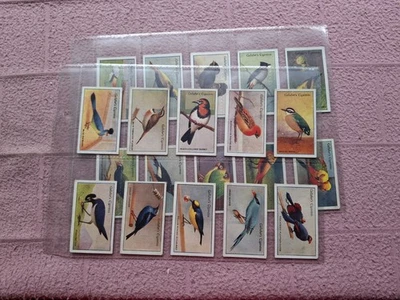PART SET - GALLAHER - ZOO TROPICAL BIRDS 2nd 20/50  gen GD - Image 1 of 4