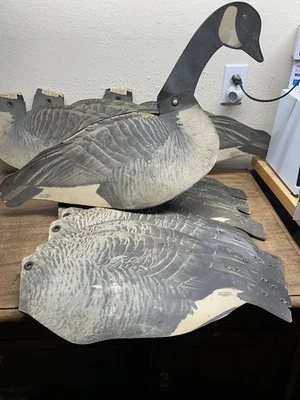 De colección 12 señuelos de cartón pesado Dunster Sporting Goods Co. Dupe-a-Goose ~ década de 1940 Foto 1 de 4