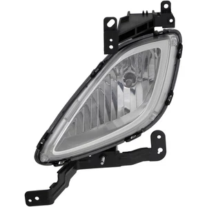 New Direct Replacement Driver Side Fog Light Assembly HY2592140 CAPA - Picture 1 of 1