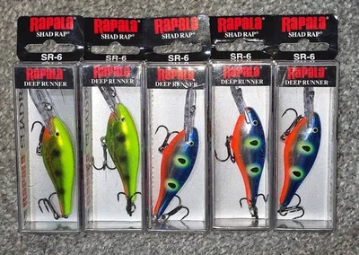 ❗️LOTE DE 5❗RAPALA SR-6 SHAD RAP DEEP CRANKBAIT SEÑUELOS SR6 Bass Baits 2-1/2" NUEVO   Foto 1 de 4