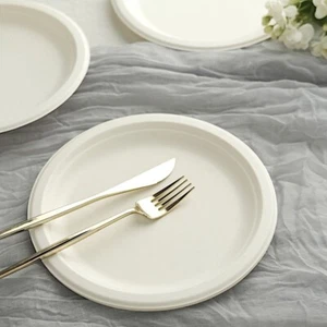 50 White 9" Round Sustainable Bagasse Disposable SALAD PLATES Party Supplies - Picture 1 of 9