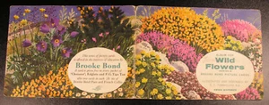 WILD FLOWERS SERIES 2 USED EMPTY BROOKE BOND PG TIPS TEA CARD VINTAGE ALBUM - Picture 1 of 11