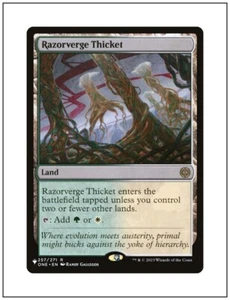 1x Razorverge Thicket, The List, Magic the Gathering MTG NM - Picture 1 of 1