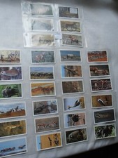 African Wildlife Grandee Players 1990 Full Set of 30 - in Plastic Sleeves