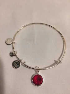 Alex And Ani Charm Bracelet. - Picture 1 of 3
