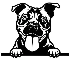 Autoaufkleber / Sticker / Innen und Außen Porträt American Pitbull Bullterrier 2 - Bild 1 von 5