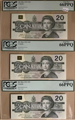 BC-58a-i 1991 Bank Of Canada $20 Bank Note - Bird Series   A4 - Image 1 of 4