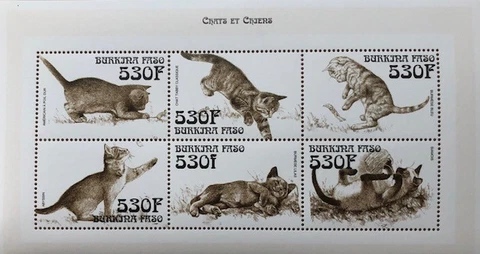 Burkina Faso 1999 - Cats Part 2 - Stamp Sheet of 6 - MNH Cover