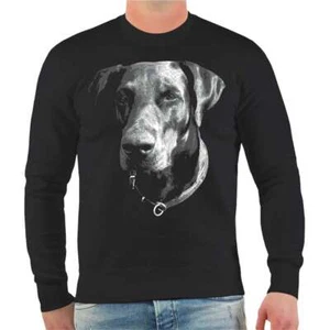 Suéter sudadera Doberman SIN CUIDADO perros raza perros de compañía perros protectores - Imagen 1 de 3