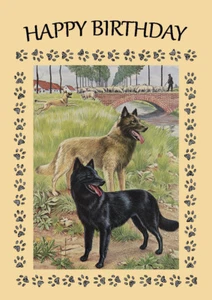 BELGISCHER SCHSCHÄFERHUND GEBURTSTAGSGRUSS NOTIZKARTE - Bild 1 von 1
