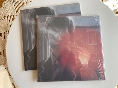 Porcupine Tree - Lightbulb Sun vinyl LP, mint, Tonefloat 2008, marbled, mint - Image 1 of 4