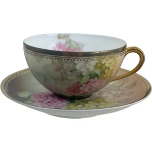 Antique Thomas Sevres Bavaria Hand Painted Artist Signed Cup & Saucer Hydrangea - Picture 1 of 13