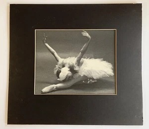 Original Max Waldman Photograph Natalia Makarova Print 1977 Ballet New York - Picture 1 of 13