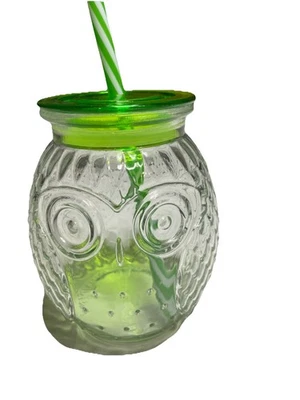Tarros de albañil de vidrio transparente con forma de búho/vaso para beber con tapa verde y pajita de colección Foto 1 de 2