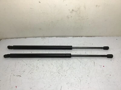 Puerta trasera Mercury Mountaineer 02-05 OEM puerta levadiza escotilla soporte puntales diestro + derecho Foto 1 de 3