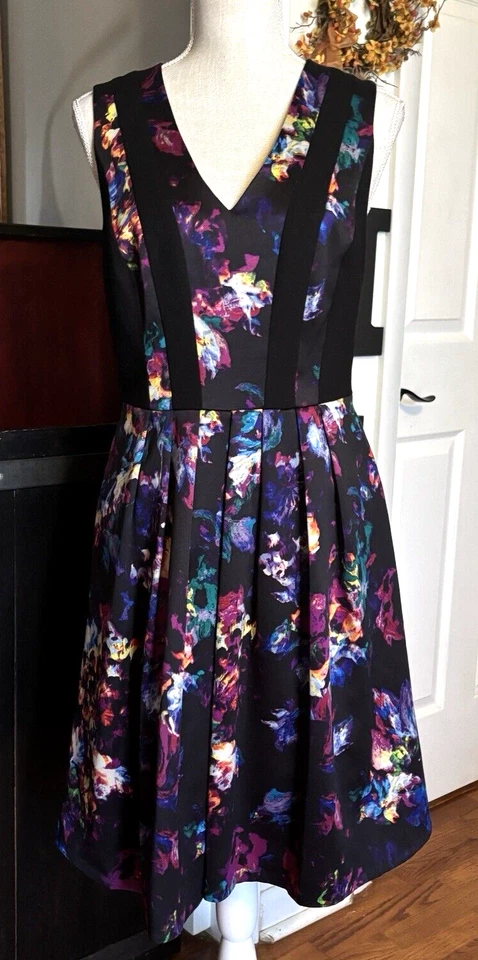 Vestido Ellen Tracy Talla 8 Plisado Ajuste y Acampanado Sin Mangas Negro con Acuarela Floral Foto 1 de 4