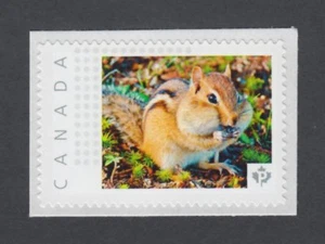 CHIPMUNK = RODENTS = Picture Postage stamp MNH Canada 2014 [pp9cw4/2] - Picture 1 of 2