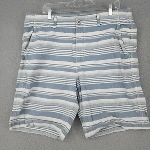 American Eagle Outfitters Classic Men's Size 38 White and Blue Stripped Shorts - Picture 1 of 11
