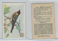 J7, Church & Dwight, Useful Birds America 3rd Ser., 1922, #9 Baybreasted Warbler