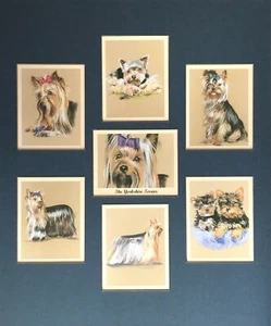 THE YORKSHIRE TERRIER  Man's Best Friend Mounted Collectors Card Set fits 12x10" - Picture 1 of 6