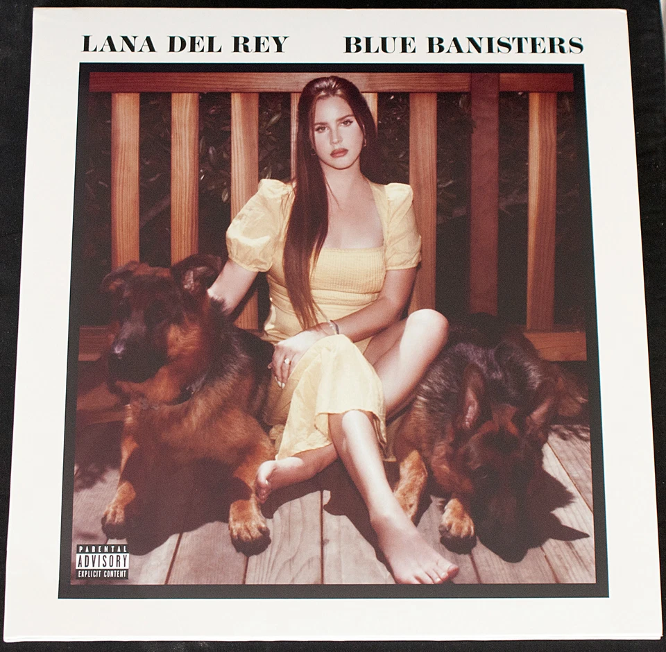 Rock-Pop, Indie-Pop - Lana Del Rey – Blue Banisters - EU-US 2021 - 2 LPs Mint - Bild 1 von 4