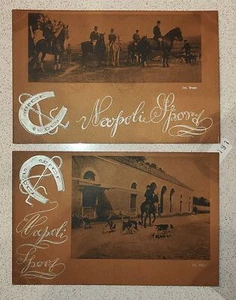 NAPOLI CITTA'-IPPICA SPORT-LOTTO 2 CARTOLINE-C15-191 - Picture 1 of 1