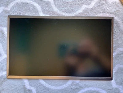 Матовый экран ноутбука Samsung модель No LTN125AT02 — ПРОТЕСТИРОВАН и работает - Изображение 1 из 4