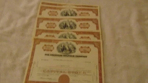 25 BROWN PAN AMERICAN SULPHUR COMPANY STOCK CERTIFICATES - Picture 1 of 3