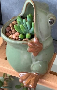 Ceramic Frog Shaped Plant Pot Bonsai Pot Flower Pot Succulent Planter - Picture 1 of 12