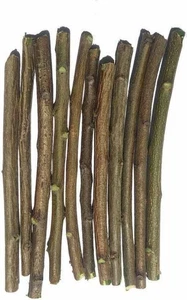 100% FRESH NEEM 6 Chewing Sticks TREE DATUN ORAL HERBAL TEETH & TONGUE CLEANER - Picture 1 of 4