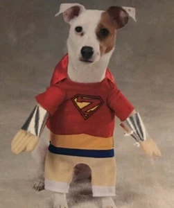 Casual Canine Pet Dog Superheo Costume Size Large - Picture 1 of 4