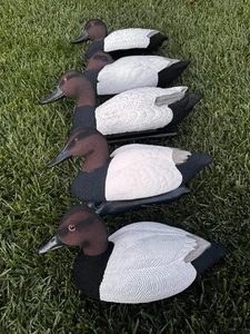 Flocked Custom Canvasback Duck Floating Decoys, G & H, Tanglefree, Etc… - Picture 1 of 1