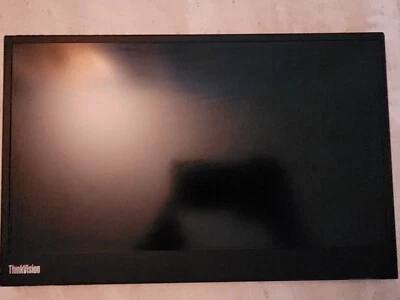 Lenovo ThinkVisio M14 14" Full HD  IPS Portable Monitor - Image 1 of 2
