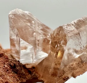 Selenita de Bermejillo Durango México - ¡Nuevo hallazgo! Selenita en matriz #6 - Imagen 1 de 11