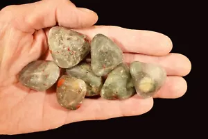 PIEDRA DE SANGRE Tumbled 1 3/4" 7 piezas GRADO B pulido roca mineral cristal curativo - Imagen 1 de 1