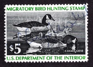 US # RW43 (1976) $5 Used - VF Duck Stamp (Canada Geese) - Picture 1 of 2