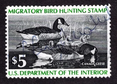 US # RW43 (1976) $5 Used - VF Duck Stamp (Canada Geese) - Image 1 of 2