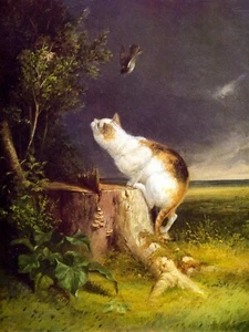 The Birdwatcher by William Holbrook Beard Giclee Art Print + Ships Free - Picture 1 of 4