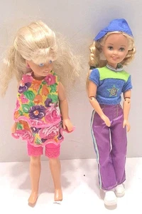 Stacie Barbie Doll Lot Of 2 Flower Outfit Skateboarding Littlest Sister 1990s - Picture 1 of 7