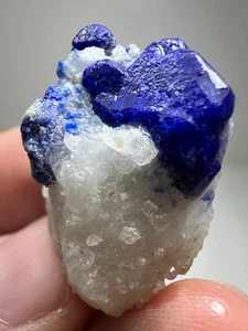 50 CT Lazurite Crystals on Matrix @Badakhshan Afghanistan - Picture 1 of 8
