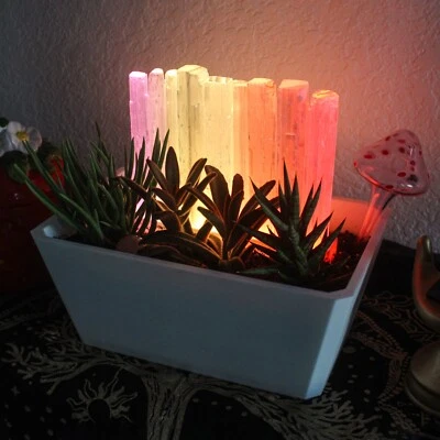 White Crystal Garden - Indoor plants and succulents pot with Selenite Crystals - Image 1 of 3