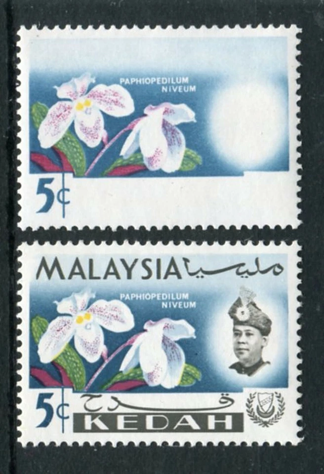 MALAYA KEDAH 1965 ORQUÍDEA 5c NEGRO OMITIDO SG117a MNH IMPRESIONANTE ERROR Foto 1 de 1