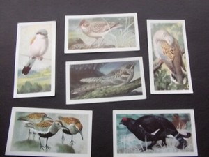 Wild birds in britain # 17,19,20,21,22,24  choose card/s